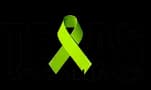 Texas Lyme Alliance logo